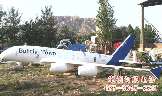 上海静静躺在大地上的不锈钢飞机雕塑