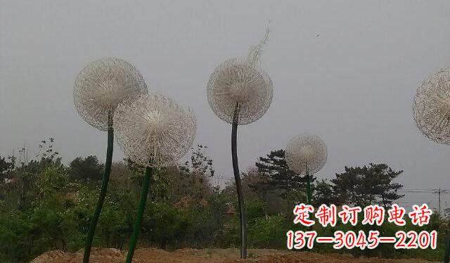 上海蒲公英的绚丽多彩