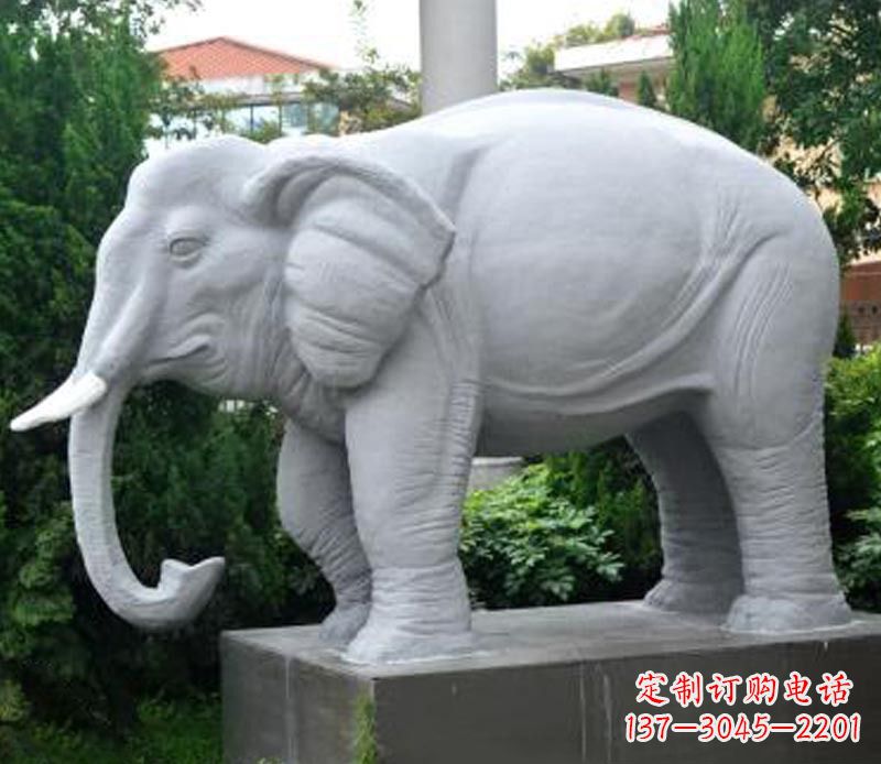 上海公园动物大理石大象石雕 (5)