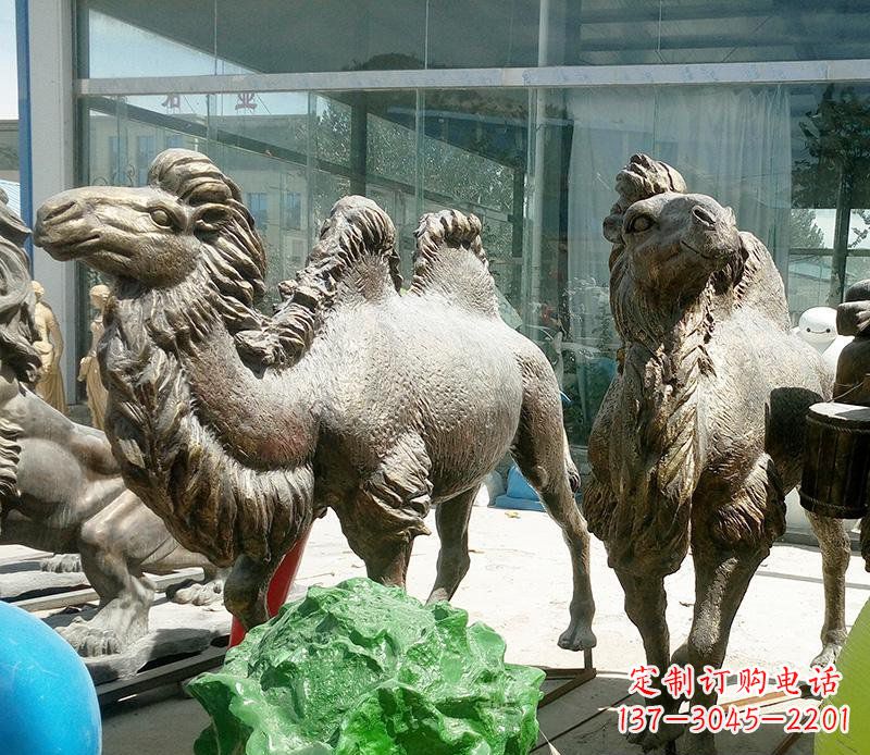上海公园骆驼动物铜雕 (2)