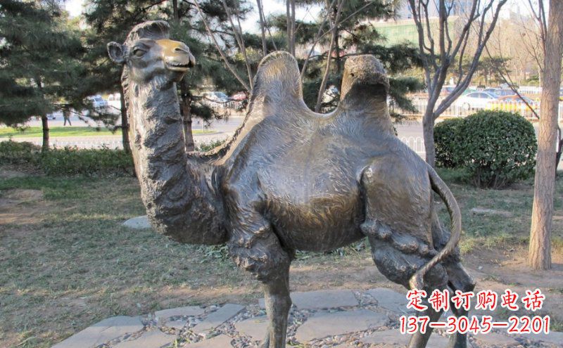 上海铜骆驼雕塑——浓缩自然美丽