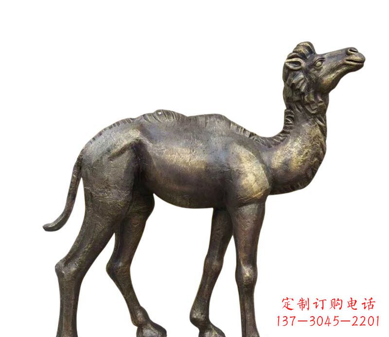 上海公园小骆驼铜雕