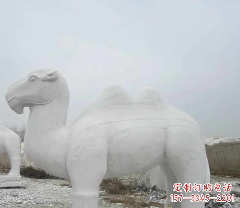 上海汉白玉骆驼石雕塑,装点家居空间