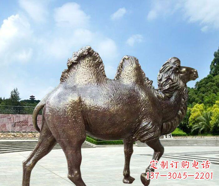 上海欣赏骆驼美感,购买骆驼铜雕