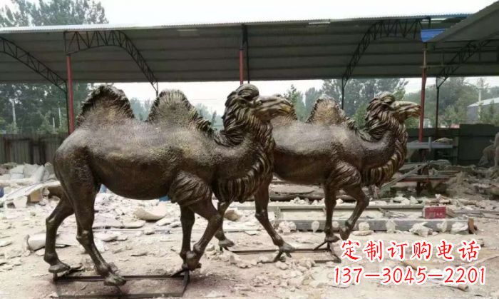 上海典雅优美的骆驼铜雕