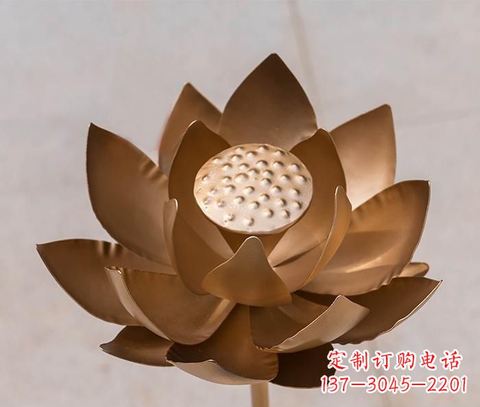 上海铜雕景观荷花