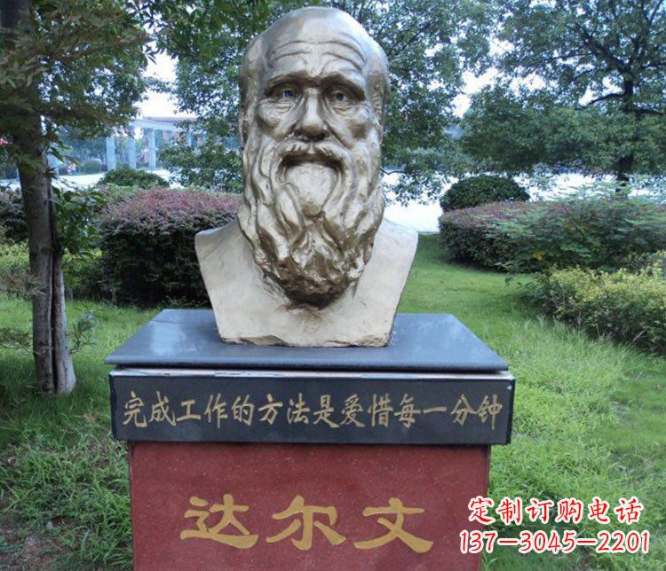 上海铜雕校园达尔文肖像雕塑