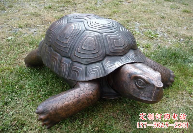 上海乌龟铜雕222
