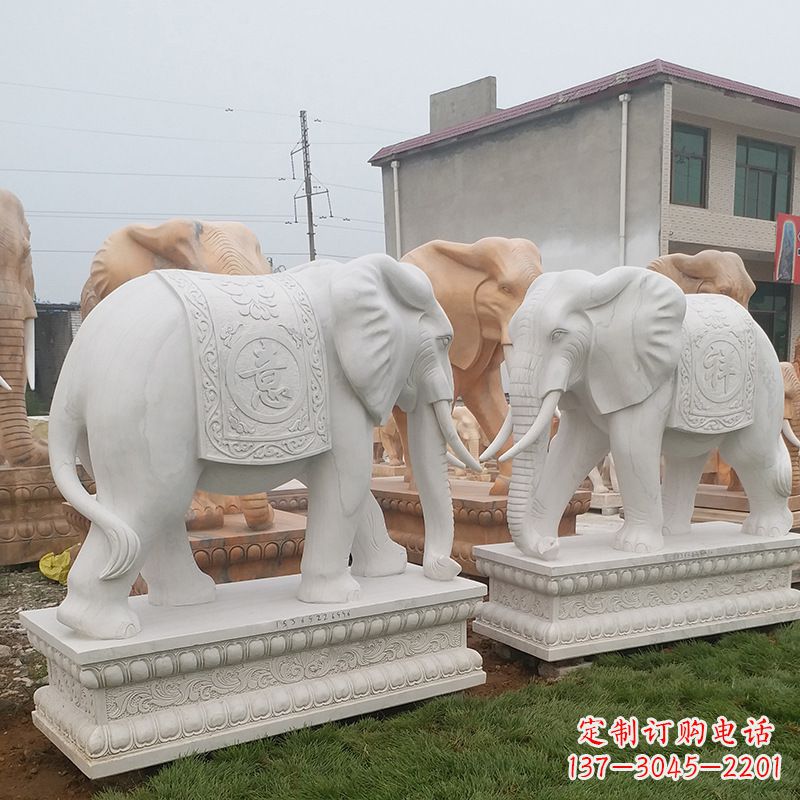 上海学校石雕大象